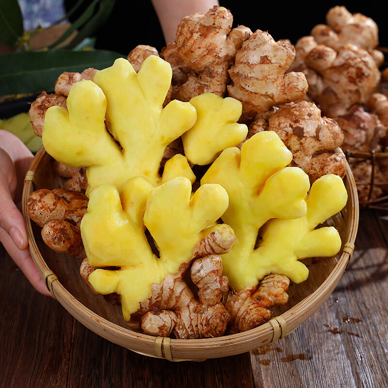 脆心鲜云南高山小黄姜现挖现发辛辣十足新鲜生姜黄姜新鲜蔬菜调味