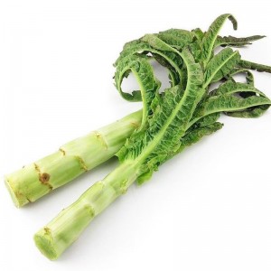 山东新鲜莴笋 2.5斤 简装 新鲜蔬菜