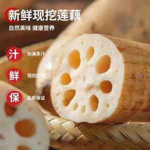 新鲜莲藕水果脆藕应季蔬菜脆嫩多汁火锅早餐凉拌